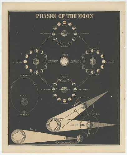 ߥο޲ŷʸءSmith's Illustrated Astronomy