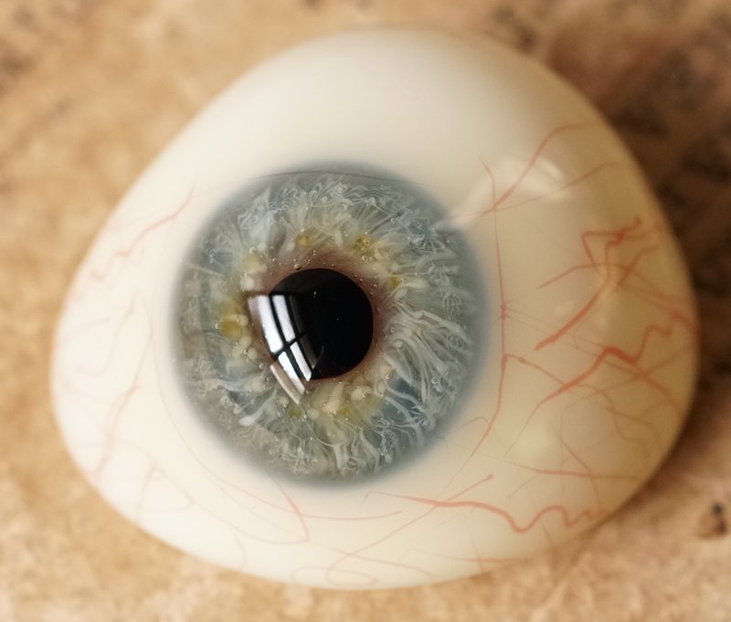 アンティーク義眼（ドイツ1890年頃・ラウシャ製） - Guignol