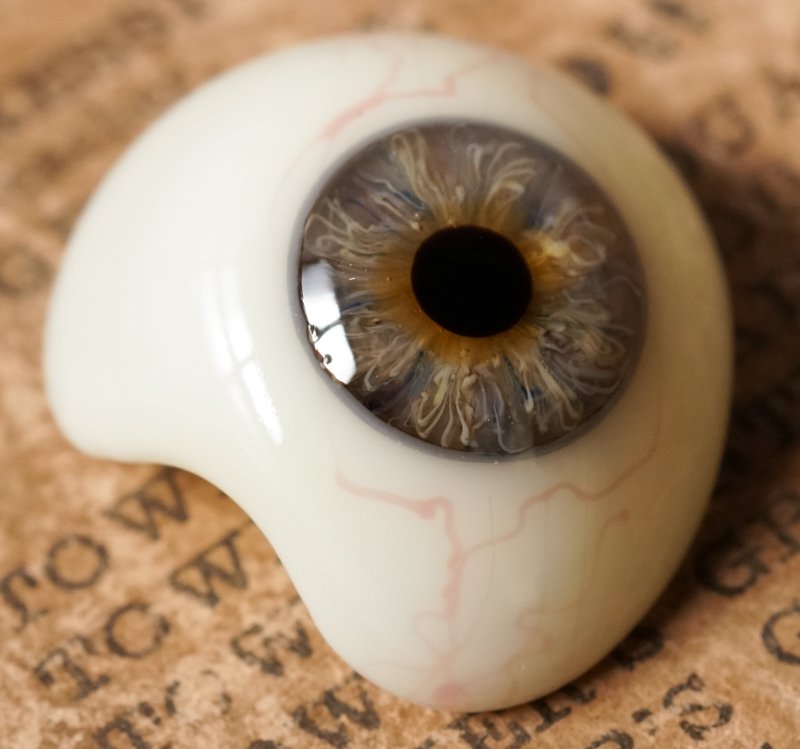 アンティーク義眼（ドイツ1890年頃・ラウシャ製） - Guignol
