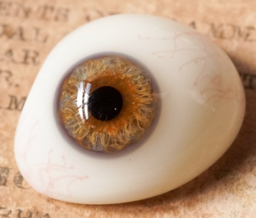 アンティーク義眼（ドイツ1890年頃・ラウシャ製）