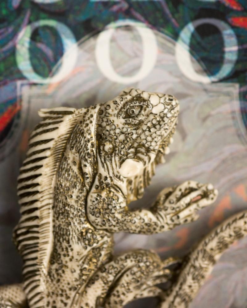 特別価格 - ブローチ/conoco イグアナ Guignol shop web [ギニョール] アクセサリー