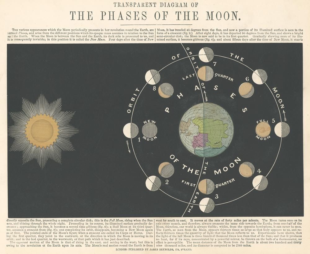 天の川の瓶と7月ピン みんみん様専用 ❀天のメタリック∞龍