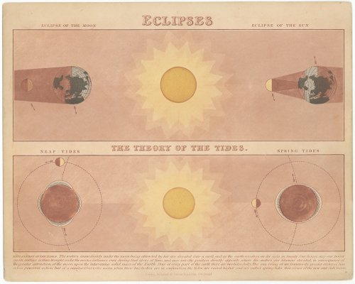 天文図版「ECLIPSES」（イギリス 1868年頃）