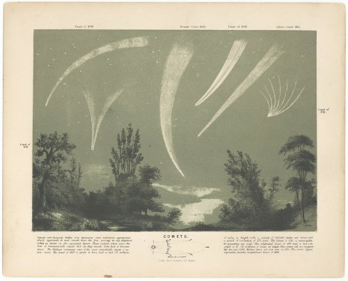 天文図版「COMETS」（イギリス 1868年頃）