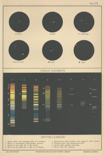 天文図版「SPETTRI LUMINOSI」スペクトル（イタリア1904年頃）
