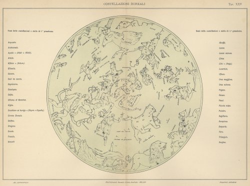 天文図版「COSTELLAZIONI BOREALI」北の星座（イタリア1904年頃）