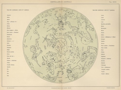 天文図版「COSTELLAZIONI AUSTRALI」（イタリア1904年頃）