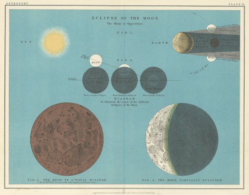 「THE TWENTIETH CENTURY ATLAS OF POPULAR ASTRONOMY 」 月食/1922年イギリス