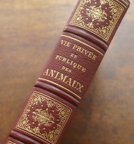 J・J・グランヴィル  『動物たちの私生活・公生活情景』（フランス1867年）