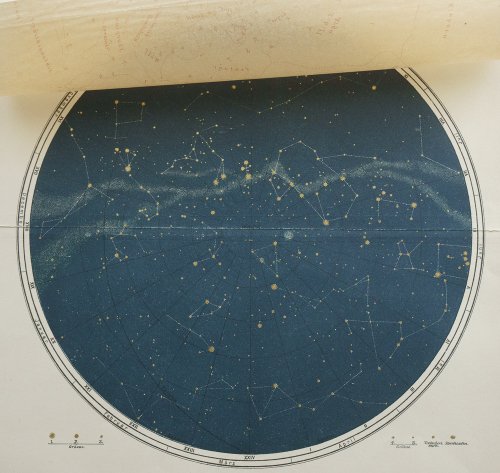 天文図版「南天の星図」（ドイツ1894年頃）