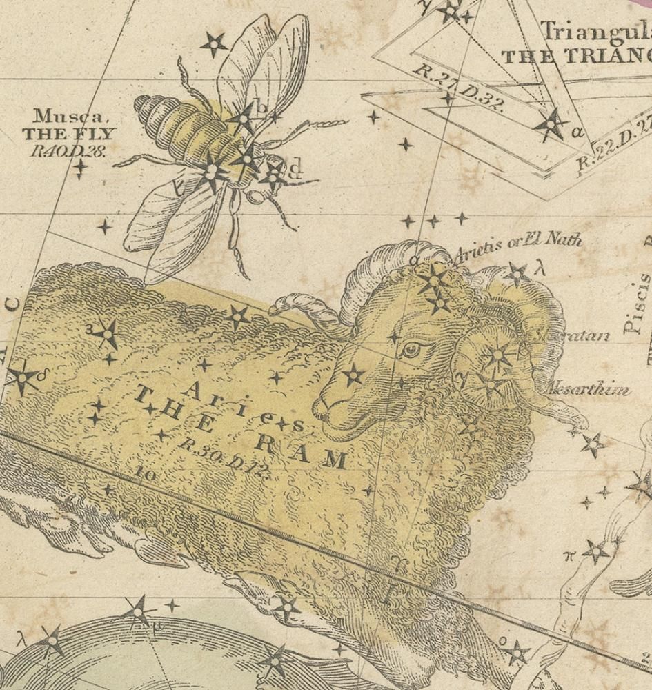 額装品　リプロダクション　17世紀 セラリウス　天球図　12星座　大型作品 天牛書店】書籍詳細 - Coeli Stellati Christiani