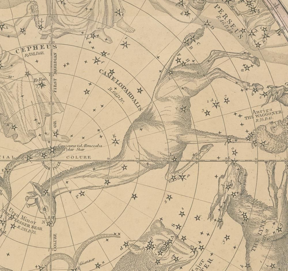 べグバル星図　北天、赤道、南天　スケール付き 天文図版「バリット星図・北天の星座」（アメリカ 1856年