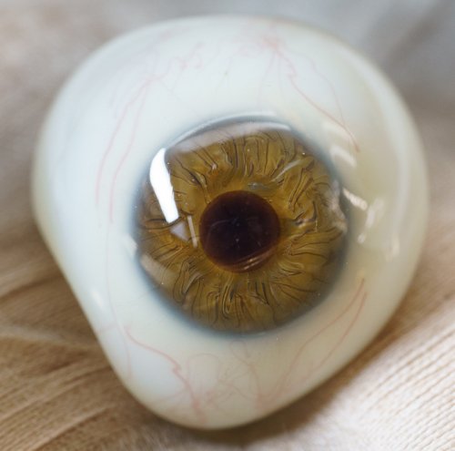 [A・右]アンティーク義眼（ドイツ1890年頃・ラウシャ製）