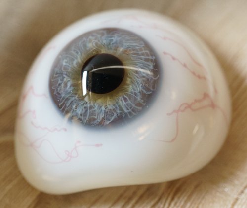 アンティーク義眼（ドイツ1890年頃・ラウシャ製）
