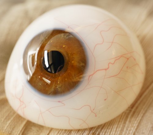 [C・左]アンティーク義眼（ドイツ1890年頃・ラウシャ製）