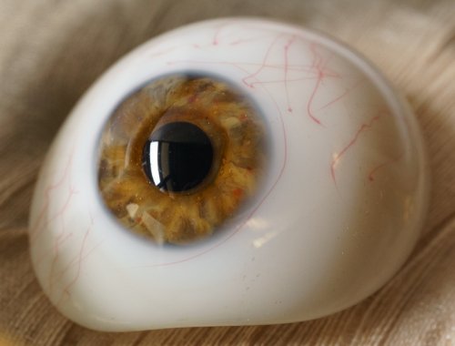 [C・右]アンティーク義眼（ドイツ1890年頃・ラウシャ製）