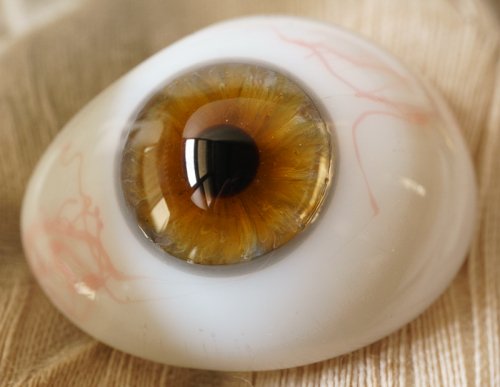 [B・右]アンティーク義眼（ドイツ1890年頃・ラウシャ製）