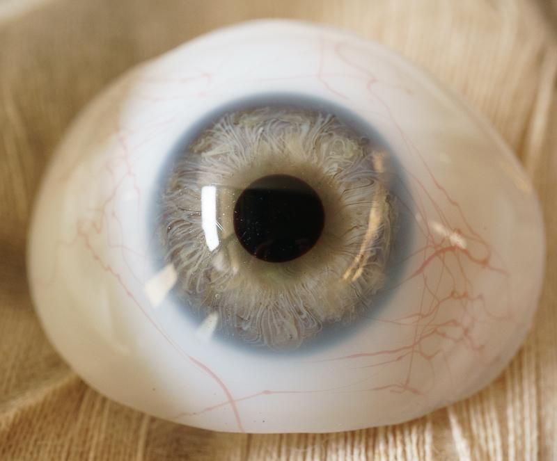 アンティーク義眼（ドイツ1890年頃・ラウシャ製）*割れ有