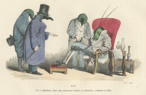 J・J・グランヴィル『現代版変身譚 改訂新版』（フランス1854年）