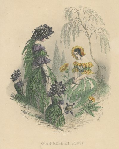 JJ  ֲ֤θ LES FLEURS ANIMÉES ץե1867ǯ