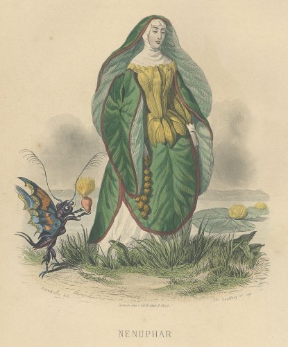J・J・グランヴィル  「花の幻想 LES FLEURS ANIMÉES 」フランス1867年