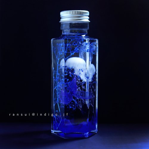 クラゲのハーバリウム・夜光/藍水（12月11日21時-12月21日21時販売）