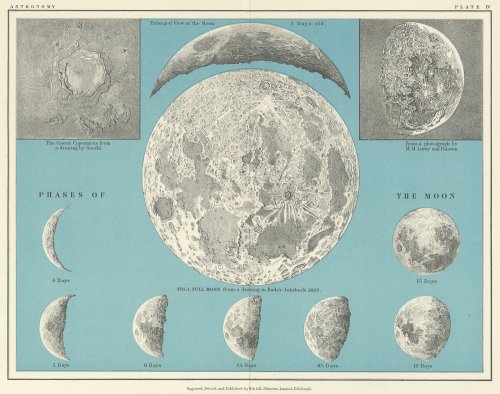 「THE TWENTIETH CENTURY ATLAS OF POPULAR ASTRONOMY 」 月の満ち欠け/イギリス