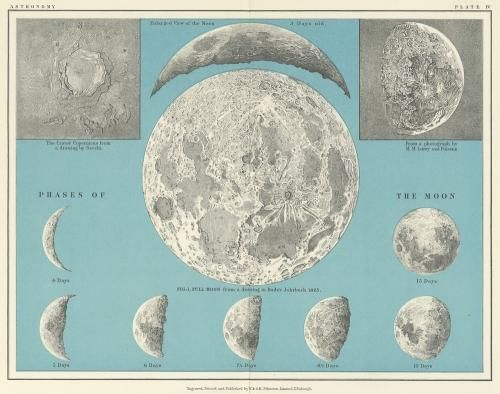 THE TWENTIETH CENTURY ATLAS OF POPULAR ASTRONOMY  礱/ꥹ