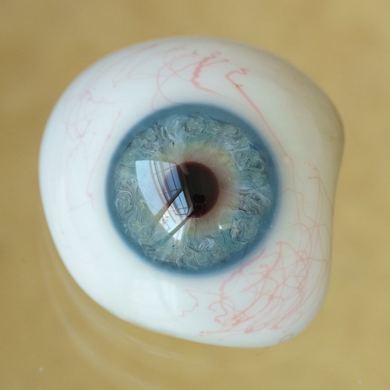 アンティーク義眼（ドイツ1890年頃・ラウシャ製） - Guignol 