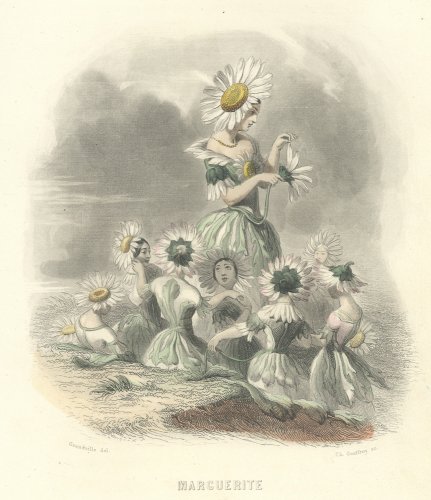 J・J・グランヴィル  「花の幻想 LES FLEURS ANIMÉES 」フランス1847年