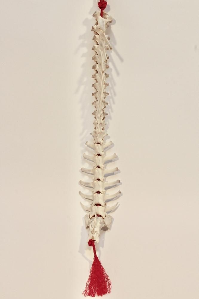 貴重！BEAMS　スカルデザイン マトリョーシカ 5個セット 貴重！BEAMS スカルデザイン マトリョーシカ 5個セット