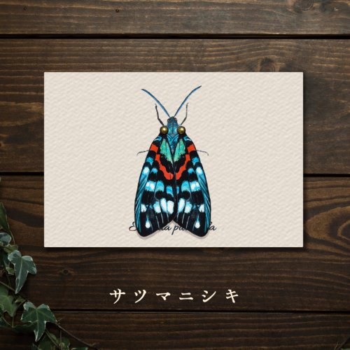 虫の翅立体カード　サツマニシキ/みなみあすか（11月5日21時-11月11日21時販売）