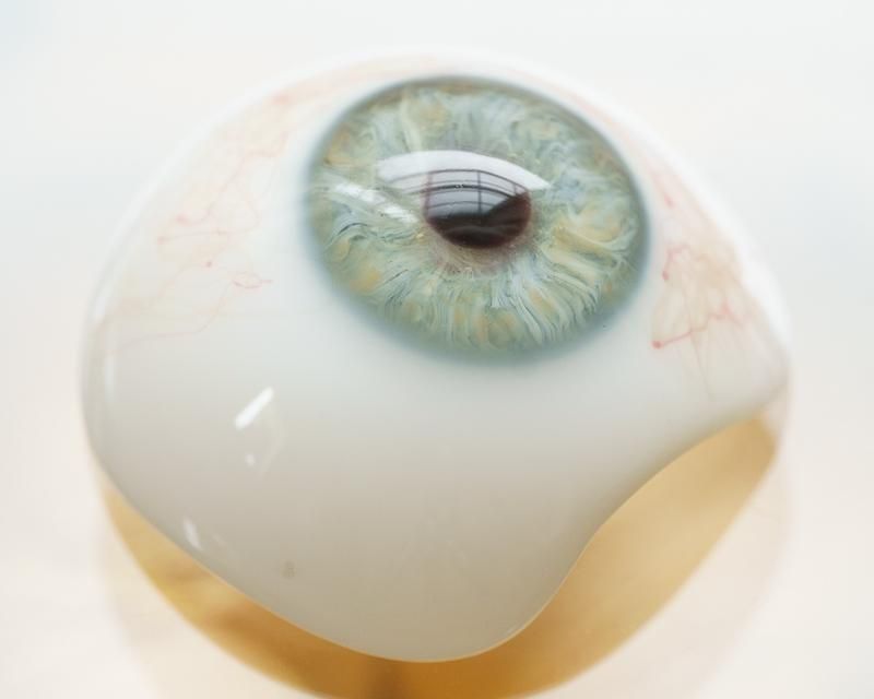 アンティーク義眼（ドイツ1890-1930年頃）星マーク入り