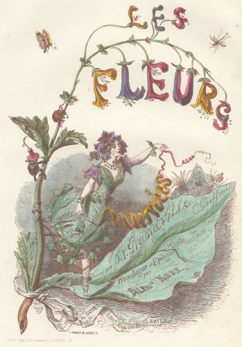 JJ  ֲ֤θ LES FLEURS ANIMÉES ץե1857ǯ