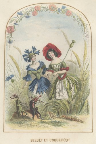 J・J・グランヴィル  「花の幻想 LES FLEURS ANIMÉES 」フランス1857年