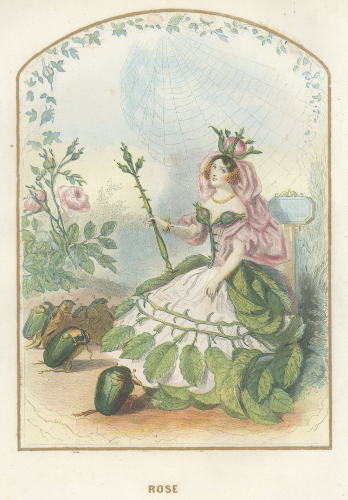 逸品 グランヴィル 花の幻想 パンジー フルールアニメ 1867年版
