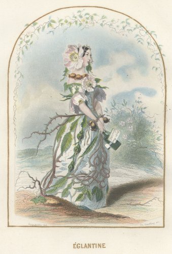 J・J・グランヴィル  「花の幻想 LES FLEURS ANIMÉES 」フランス1857年