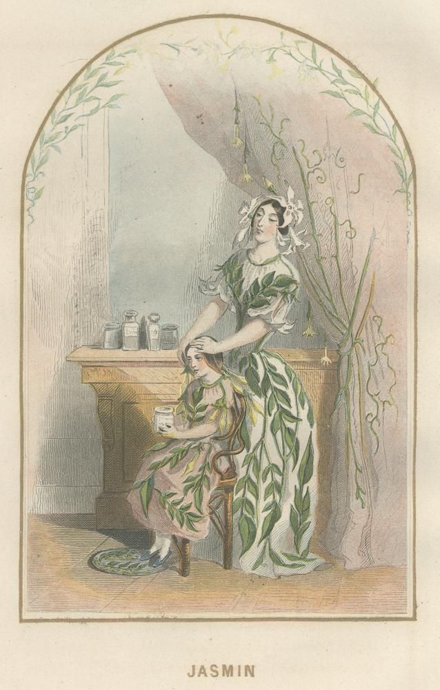 １８５７年　古いフランスの挿絵　額入 1857年 古いフランスの挿絵 額入 絵画