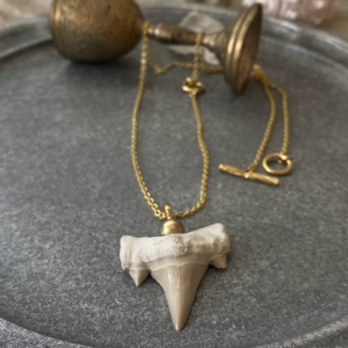 サメの歯の化石ネックレス 大/IS02101