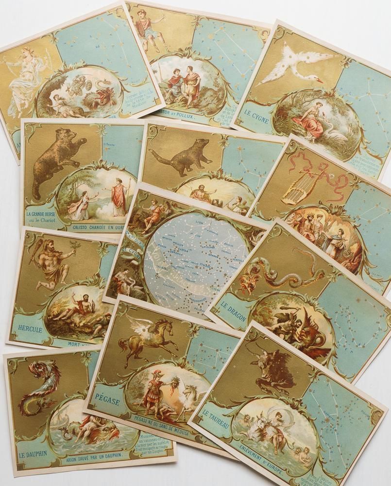 フランスアンティーク クロモカード 4枚セット　生き物 フランスアンティーク クロモカード 4枚セット 生き物 フランス