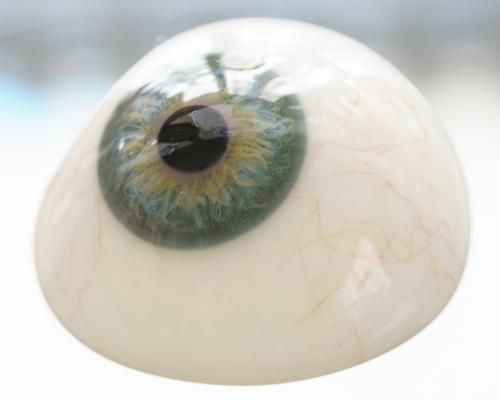 義眼 - Guignol [ギニョール] web shop