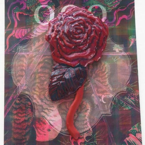 a ROSE ֥/conoco
