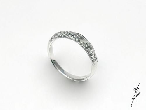 Crater Ring Thin half ver.0桦10-19/abst.