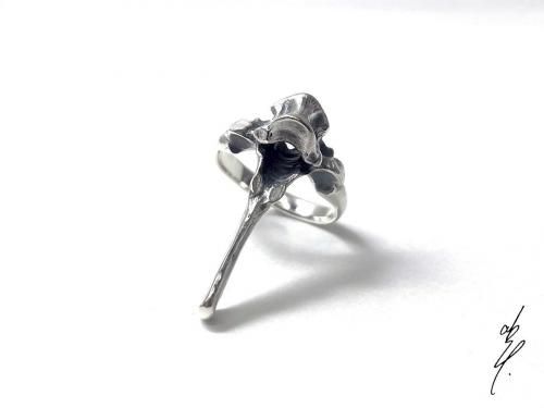 <img class='new_mark_img1' src='https://img.shop-pro.jp/img/new/icons14.gif' style='border:none;display:inline;margin:0px;padding:0px;width:auto;' />Typical BonesDeer SpineThoracic VertebraeӡRing 1/ abst.