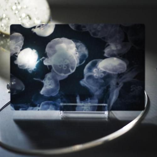 <img class='new_mark_img1' src='https://img.shop-pro.jp/img/new/icons14.gif' style='border:none;display:inline;margin:0px;padding:0px;width:auto;' />ꥢ 峤  / Radiostar
