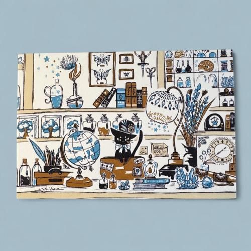 <img class='new_mark_img1' src='https://img.shop-pro.jp/img/new/icons14.gif' style='border:none;display:inline;margin:0px;padding:0px;width:auto;' />ƥꥢΥݥȥ/Į˼-shibao-