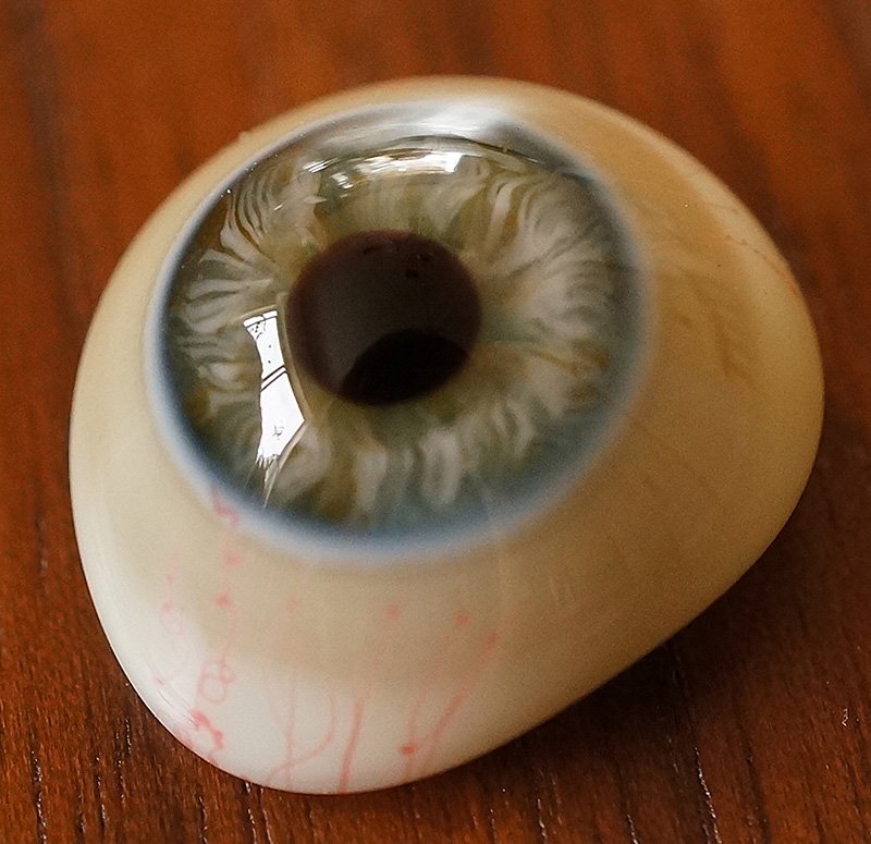 アンティーク・義眼 （ドイツ・ラウシャ製／1890年頃） - Guignol 