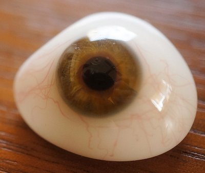 アンティーク・義眼 （ドイツ・ラウシャ製／1890年頃）