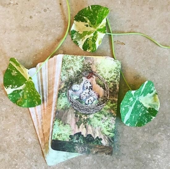 未開封　新品the faceted garden oracle 正規品 The Faceted Garden Oracle | Claire Mack Fine Arts