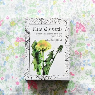 プラントアライヒーリングカード（簡単な日本語訳つき） オラクルカード　特別ボックス仕様　Plant Ally Healing Cards